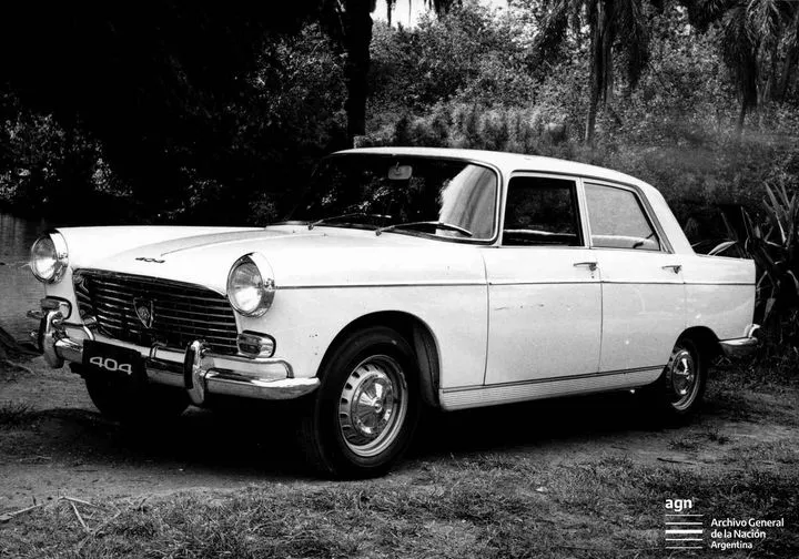 239799321_6509851722373322_7400274261992739355_n