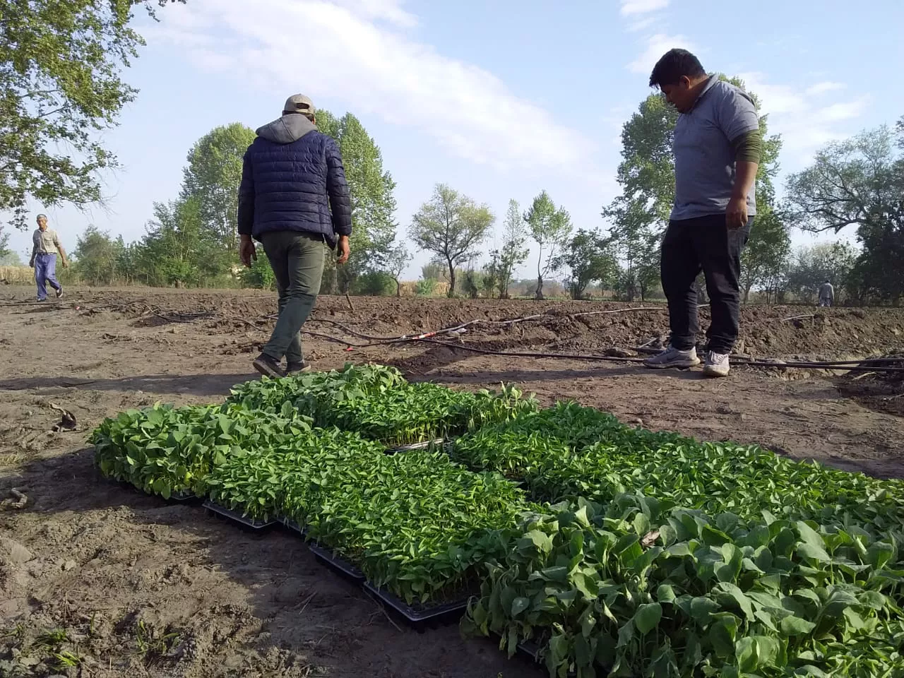 WhatsApp Image 2021-09-16 at 12.10.28 PM