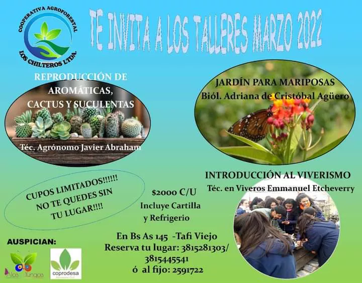 WhatsApp Image 2022-02-26 at 11.54.16