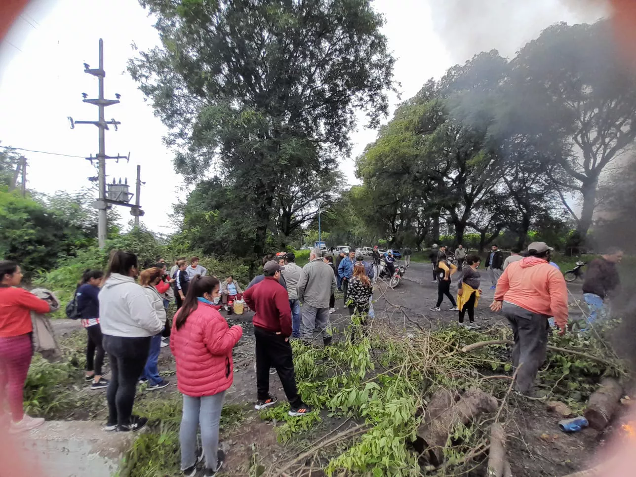 WhatsApp Image 2022-03-21 at 11.30.39 AM